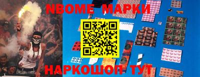 прущие грибы Сланцы